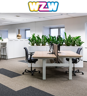 WZW 