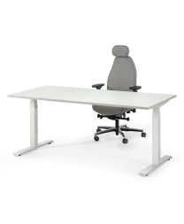 Flex Sitz-Steh-schreibtisch (elektrisch verstellbar)