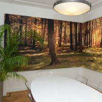 Bedruckte Wandpaneele