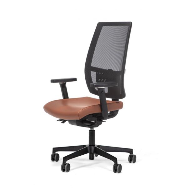 Ergonomischer Bürostuhl Dale