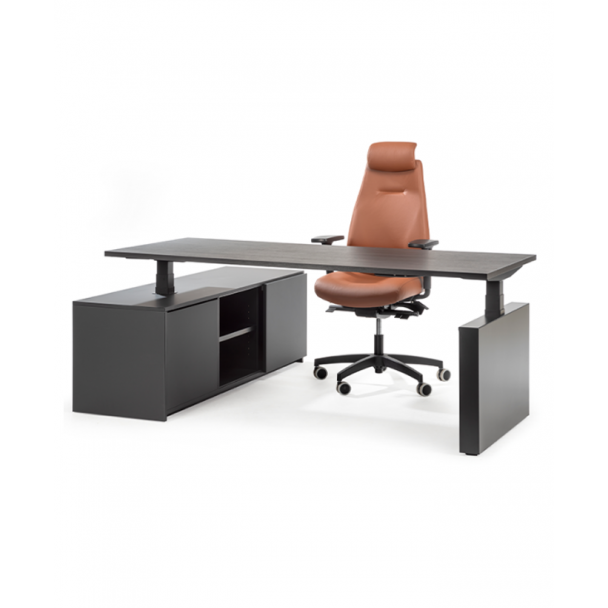 Elektrischer Schreibtisch FLEX mit Anbauschrank und Wangenpfote (Schwarz)