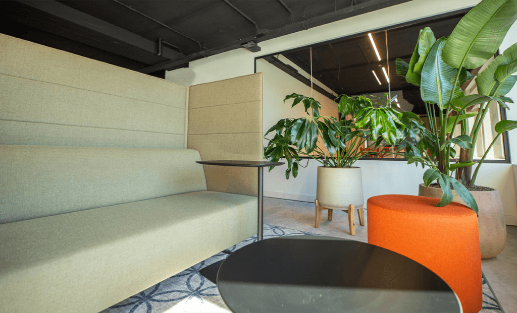 Wie schafft man im Büro eine gemütliche Atmosphäre?